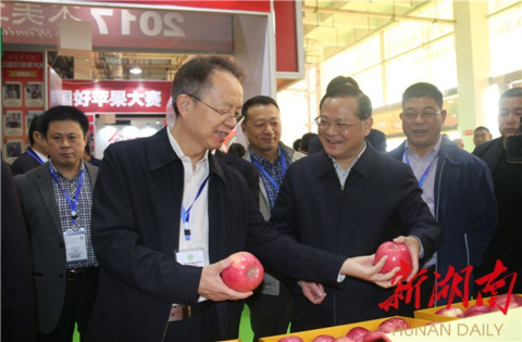 第三届中国果业品牌大会落户长沙 湖南果业实力领跑中部